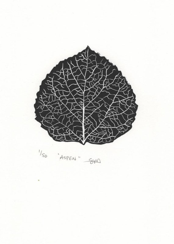 Numbered black & white print of a leaf Numbered black & white print of a leaf