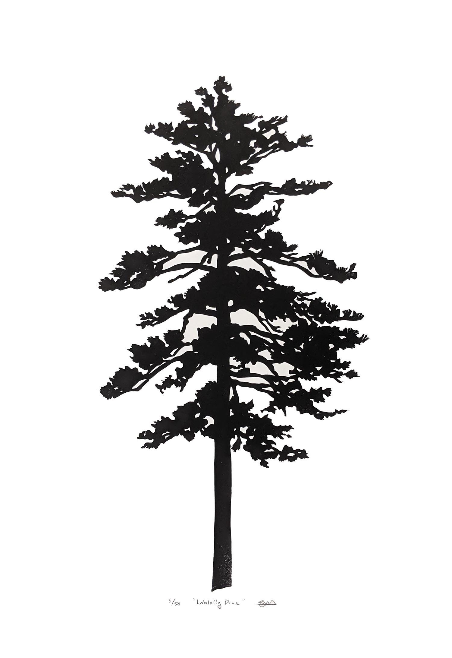Loblolly pine tree clip art
