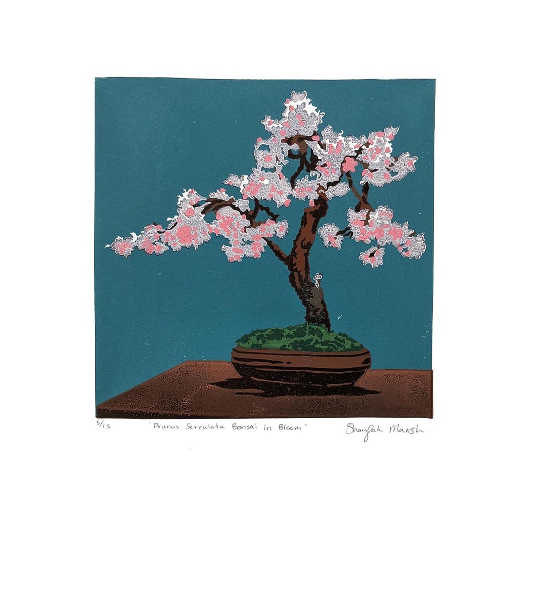bonsai clothing Bonsai T-Shirt Adult Unisex – Flash of Culture main image 1