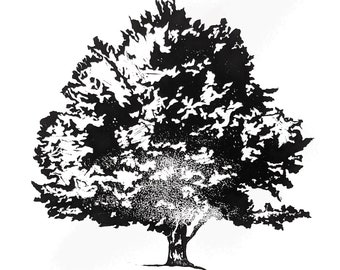 Sugar Maple Tree Linocut