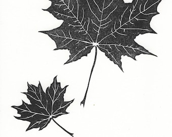 Maple leaves