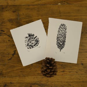 Pinecone Linocuts image 3