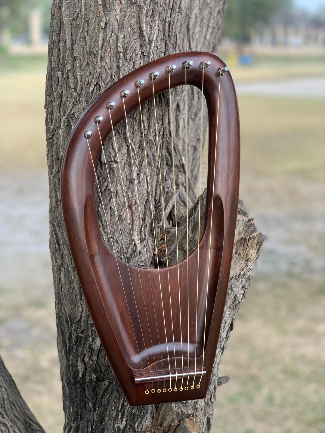 Handmade Rosewood Lyre Harp 10-string Natural Wood Musical Instrument ...