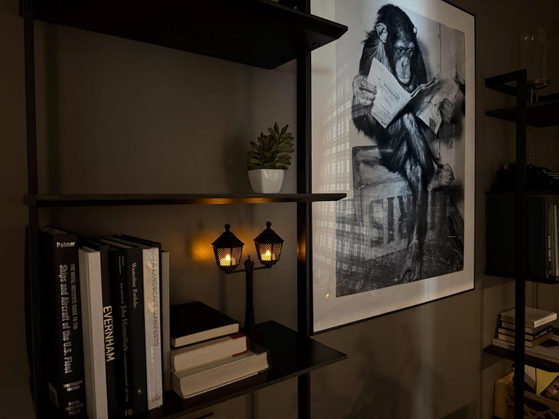 May include: A black metal bookshelf featuring a small decorative lamp with two lantern-style shades, a potted succulent, and a collection of books. Beside the shelf hangs a large framed black and white print of a chimpanzee reading a newspaper.