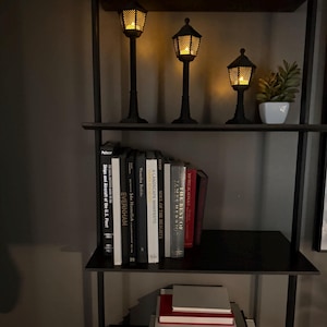 May include: A black metal shelving unit featuring three illuminated miniature street lamps with mesh detailing, a small potted succulent, and a collection of books with titles including Ships and Aircraft of the U.S. Fleet, Evernham, and The Best of James Herriot.