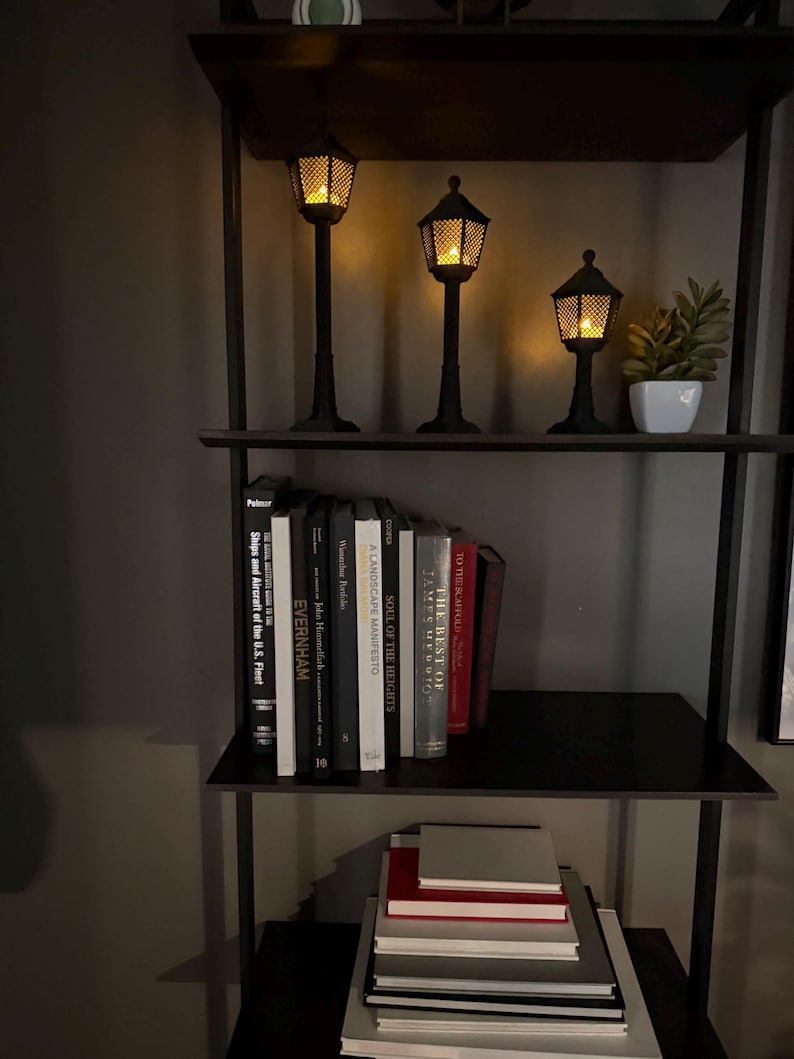 May include: A black metal shelving unit featuring three illuminated miniature street lamps with mesh detailing, a small potted succulent, and a collection of books with titles including Ships and Aircraft of the U.S. Fleet, Evernham, and The Best of James Herriot.