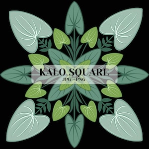 May include: A symmetrical botanical illustration featuring heart-shaped leaves in shades of light green, sage, and dark teal arranged in a radial pattern. The text KALO SQUARE JPG - PNG is centered over the design against a solid black background.