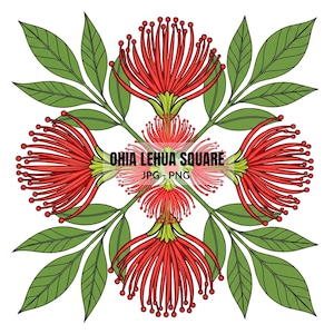 May include: Square floral design featuring red Ohia Lehua flowers and green leaves. The image includes the text "OHIA LEHUA SQUARE" and "JPG - PNG". The flowers have long, thin red stamens, and the leaves are a vibrant green.