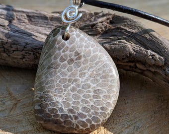 May include: A gray fossilized stone pendant with a textured surface, hanging from a black leather cord with a silver wire wrap.