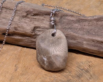Petoskey Stone Necklace: Lake Michigan Fossil Pendant
