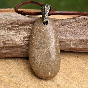 Petoskey Stone Necklace: Lake Michigan Fossil Jewelry