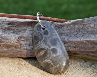 Petoskey Necklace, Petoskey Stone Necklace, Lake Michigan Jewelry, Beach Stone, Fossil Jewelry, Petoskey Stone Jewelry, Lake Stone Jewelry