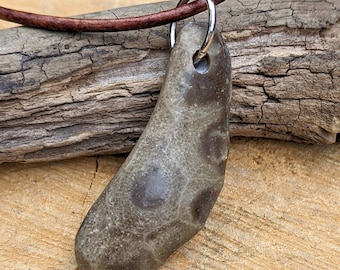Petoskey Stone Necklace: Lake Michigan Petoskey Pendant, Beach Boho