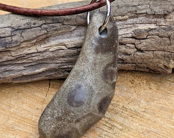 Petoskey Necklace, Petoskey Stone Pendant, Lake Michigan Jewelry, Petoskey Jewelry, Lake Stone Jewelry, Fossil Jewelry, Beach Stone Necklace