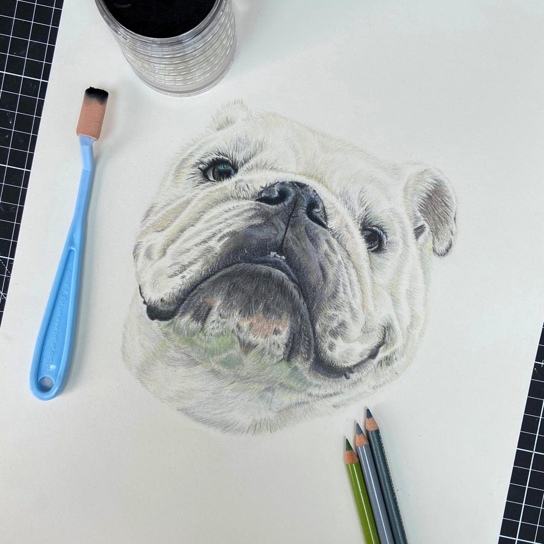 Custom Pet Portrait – Hand-drawn Colored Pencil A3 Artwork - Etsy