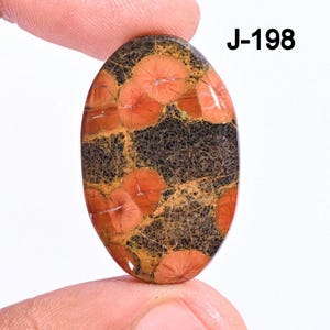 May include: An oval gemstone with a distinctive pattern. The stone displays a combination of orange, black, and yellow hues. The surface has a network of dark lines and circular orange patterns. The text "J-198" is visible on the top right.