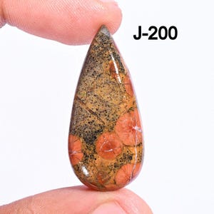 May include: A teardrop-shaped gemstone with a mix of colours. The stone features a speckled brown and black pattern at the top, transitioning to a warm orange and tan base with circular patterns. The text "J-200" is visible.