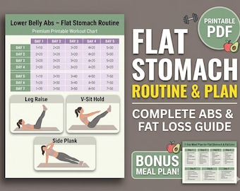 Lower Belly Abs Workout Printable, Flat Stomach Routine Chart, Core Strength Exercises, At Home Ab Workout Plan, Meal Planner PDF
