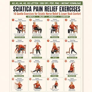 May include: A digital chart titled Sciatica Pain Relief Exercises featuring 16 numbered illustrations of a person in a rust-colored shirt performing various stretches. Each box includes text instructions, duration, and labels for seated or standing poses.