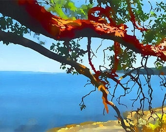 Arbutus – Sun Reacher – arbutus art, madrona art, arbutus paintings, arbutus trees art, BC coast art, arbutus wall decor