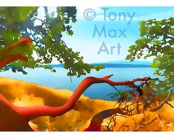 Arbutus – zomerherinneringen – horizontaal.  Arbutuskunst, arbutusschilderijen, arbutuskunstafdrukken, BC-kunst, BC kustkunstafdrukken, BC-afdrukken