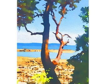 Arbutus – kreupelhout – close-up. arbutuskunst, arbutusschilderijen, madronakunst, BC-kunstafdrukken, BC-schilderijen, BC-bergkunst, BC-landschapskunst
