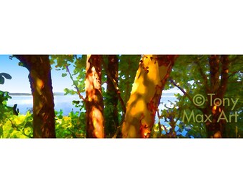 Arbutus en Stille Oceaan. Arbutuskunst, kunst madronabomen, Arbutusbomen schilderijen Arbutusposter Madronakunst, Arbutusafdrukken, Arbutuskunstafdrukken