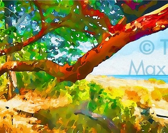 Arbutus – Twisted, Red Giants – Overzicht – Arbutuskunst, Arbutusprints, Arbutusschilderijen, BC-kunst, madronakunst, British Columbia-kunst