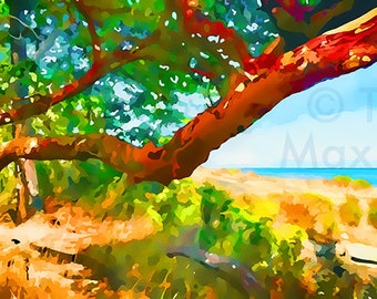 Arbutus – Twisted, Red Giants – Overview – arbutus art, arbutus prints, arbutus paintings, BC art, madrona art, British Columbia art