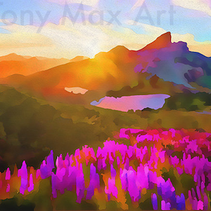 Black Tusk – Backlit With Lupines – Horizontal.  BC art, B. C. mountain art, Sea to Sky art, British Columbia art, British Columbia painting