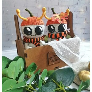 Op de afbeelding: Twee handgemaakte gehaakte poppen met grote zwarte ogen, met oranje hoeden en gestreepte sjaals, zitten in een houten kist. Op de kist staat "FLOW & GARDEN". Groen en een kleine pompoen versieren de scène en creëren een herfstthema.