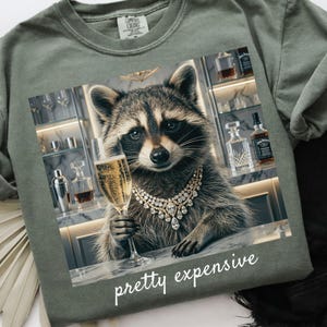 May include: Sage green sweatshirt featuring a raccoon wearing a diamond necklace and holding a champagne flute. The image has the words "pretty expensive" in white script. The raccoon is in front of a bar.