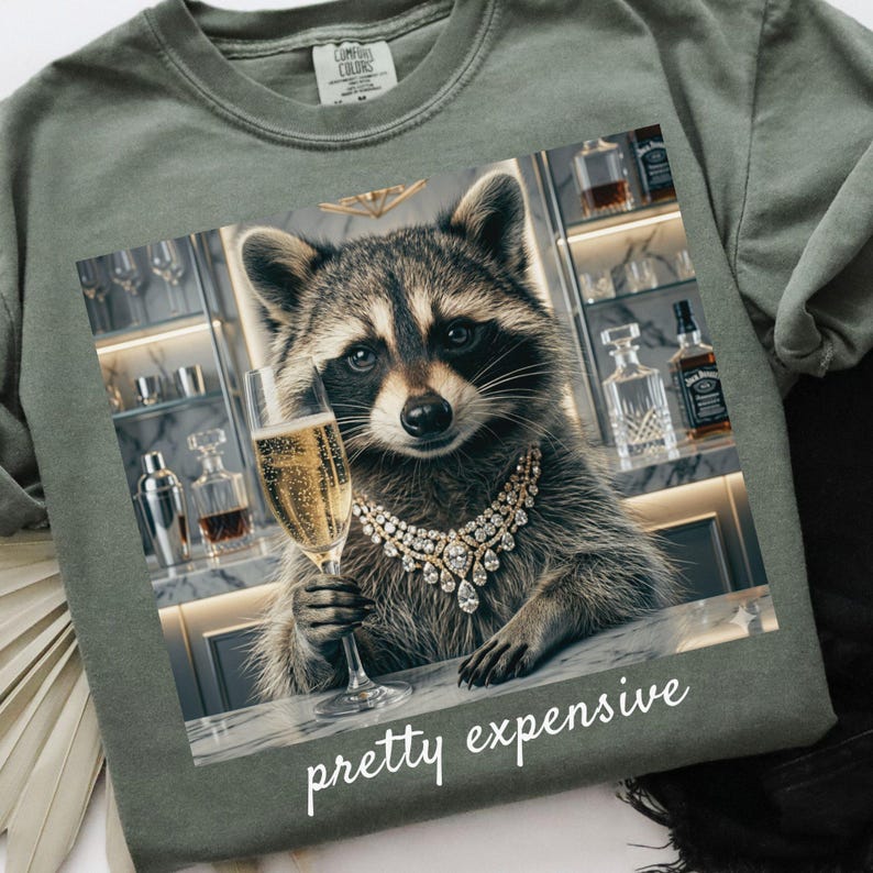May include: Sage green sweatshirt featuring a raccoon wearing a diamond necklace and holding a champagne flute. The image has the words "pretty expensive" in white script. The raccoon is in front of a bar.