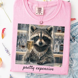 May include: Pink Comfort Colors t-shirt with a graphic of a raccoon wearing a diamond necklace and holding a champagne glass. The text "pretty expensive" is below the graphic. A silver necklace hangs from the neckline.