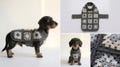 Crochet Dog Coat Pattern, Granny Square Pet Sweater, Ruffle Detail, Beginner Friendly (PDF Download) product logo
