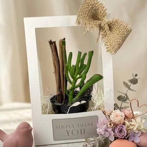 3DフラワーギフトボックスSVG印刷可能、多肉植物ホルダーテンプレートCricut、教師用ギフトボックス、結婚式の引き出物SVG、誕生日ボックスPNG、ラベル10枚