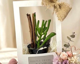 Pode incluir: Uma moldura retangular branca contendo uma suculenta verde e galhos castanhos num vaso preto. Um laço de juta está preso no canto superior. Uma placa cinzenta diz SIMPLY THANK YOU. Perto estão pedras cor-de-rosa, uma estatueta de pássaro cor-de-rosa e flores secas.