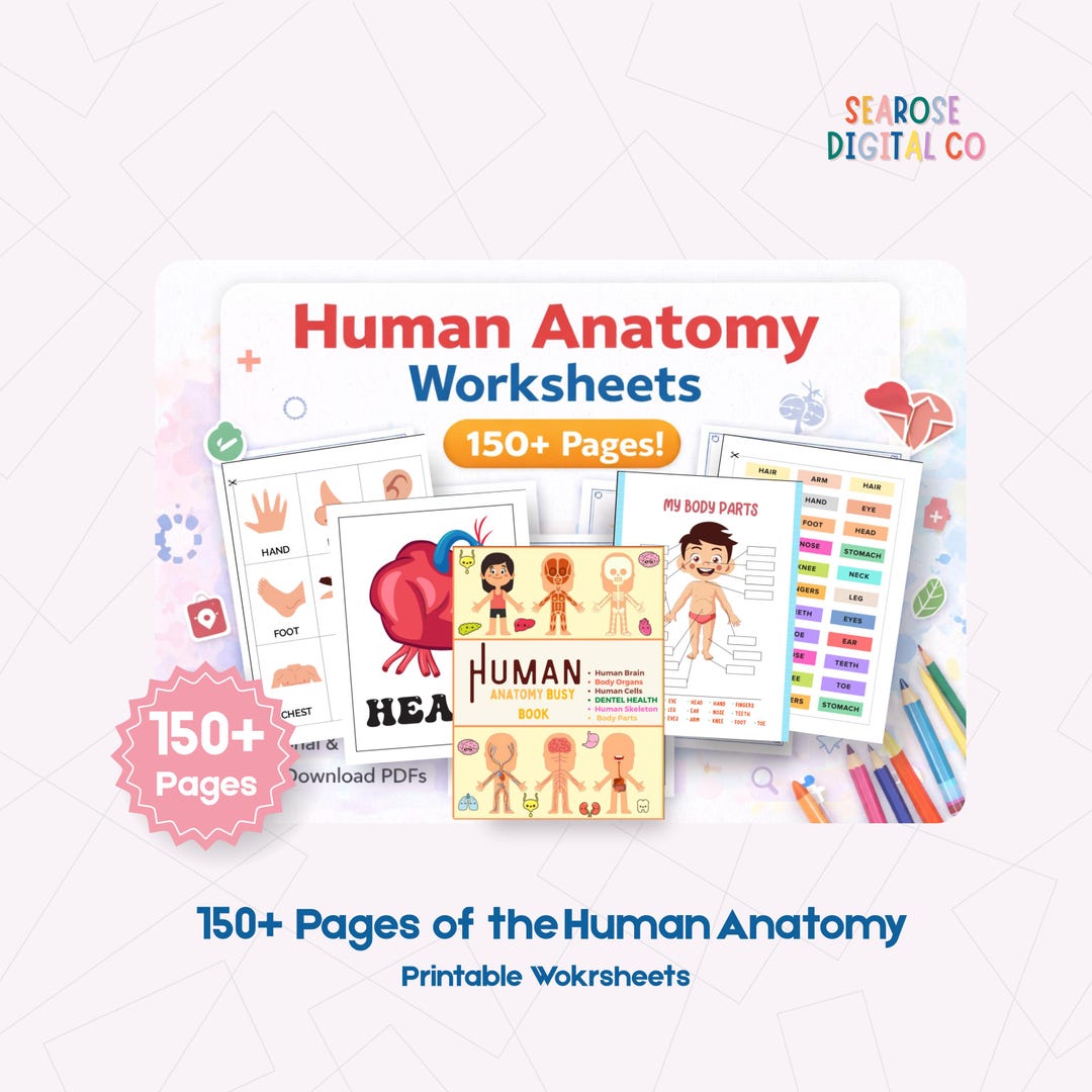 150+ Pages Human Anatomy Worksheets With Cutting & Matching Activities ...