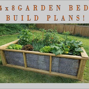 Puede incluir: Un bancal de jardín elevado de madera de 122 x 244 cm lleno de plantas. La cama tiene laterales de metal corrugado y está sobre hierba verde. El texto "4 x 8 GARDEN BED BUILD PLANS!" está en la parte superior.
