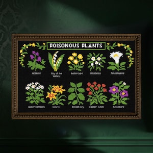 Puede incluir: Un bordado a punto de cruz enmarcado con la inscripción "POISONOUS PLANTS" sobre ilustraciones de varias plantas, como acónito, lirio de los valles y ranúnculos. La obra de arte está sobre un fondo negro y enmarcada en un marco de madera oscura.