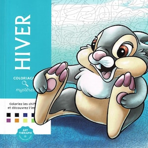 May include: A Disney coloring book titled "Hiver" featuring an illustration of Thumper the rabbit. The cover has a blue background with the word "HIVER" in white. The book is for "Coloriage mystères" and "Art Thérapie".