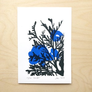 Conifer. Small screen print A5. Blue and black, handprinted. Original print. Handmade art print.
