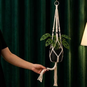 May include: A cream-coloured macrame plant hanger featuring intricate knotted cord patterns, a metal ring at the top for suspension, and decorative dark beads. It holds a black pot containing a green Monstera adansonii plant with leaf holes.