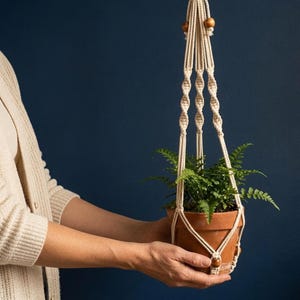 May include: A cream-coloured macrame plant hanger featuring twisted cord patterns and wooden beads, holding a terracotta pot with a green fern. The hanger has multiple vertical cords that converge at the top and bottom for support.