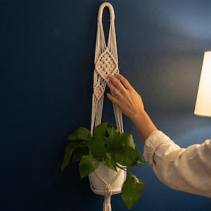 May include: A cream-colored macrame plant hanger featuring intricate knotted patterns and a diamond-shaped design. The hanger supports a white ceramic pot containing a green leafy plant, suspended by a looped cord at the top for wall mounting.