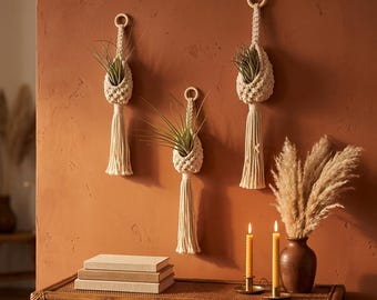 Macrame Plant Hanger, Air Plant Holder, Boho Wall Hanging Farmhouse Decor Set