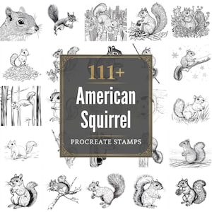 111+ Procreate American Squirrel Brushes | Procreate Stamps | PNG Files | Instant Download