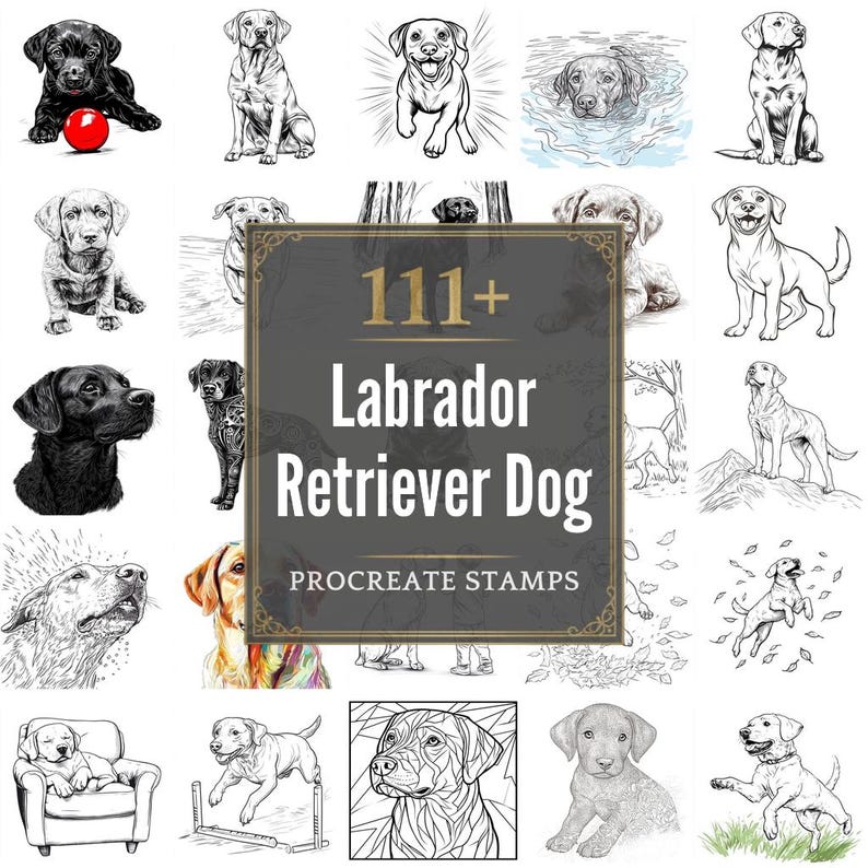 Procreate Lab Dog 111+ Procreate Ladrador Retriever Brushes | Procreate Stamps | PNG ...