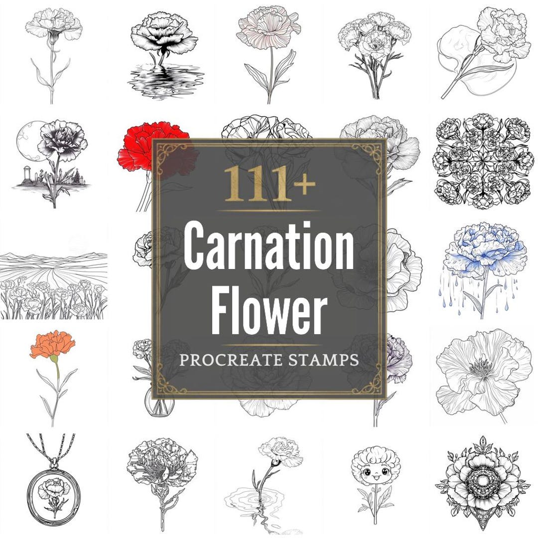 111+ Procreate Carnation Flower Brushes | Procreate Stamps | PNG Files ...