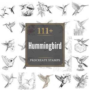 111+ Procreate Humming Bird Brushes | Procreate Stamps | PNG Files | Instant Download